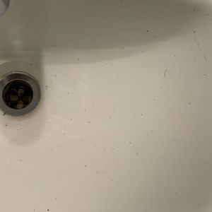 Meet your Posher, Dewoyne